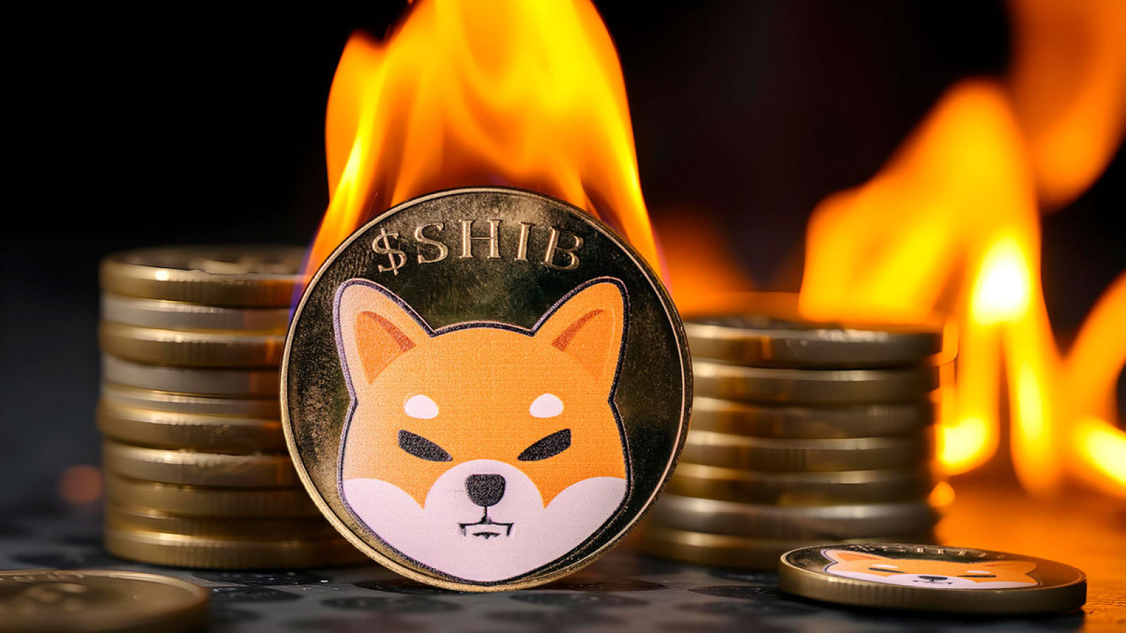 Shiba Inu (SHIB) Burn Rate Soars by 7,911% as Price Aims for New Highs