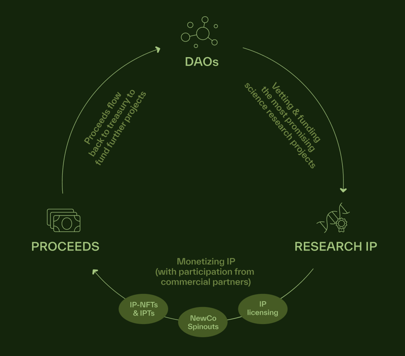 How BioDAOs work